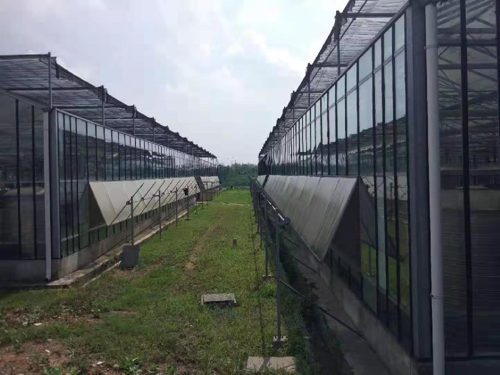 ���Ҵ����������������ǿ�ȵĹ�ϵ