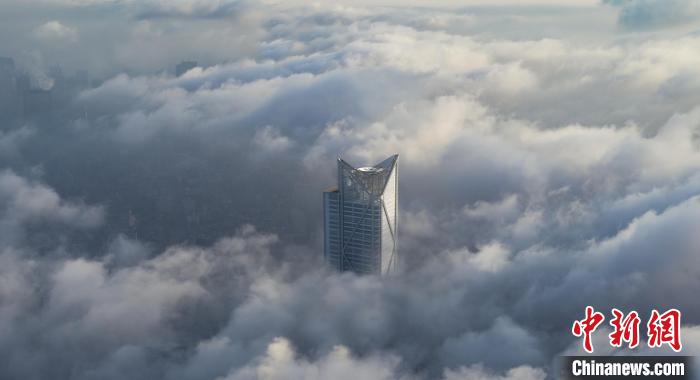 1589442301596833.jpg f3d3-itriatr6408142.jpg