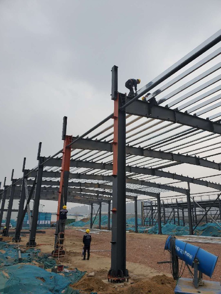 �ֽṹ̸�ֽṹ�����˼��