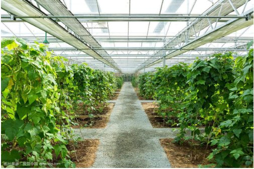 ���Ҵ����ԭ��������